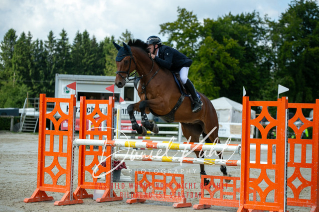 IMG_5459 | Turniersportfotografie; Pferdefotografie; Dressurfotografie