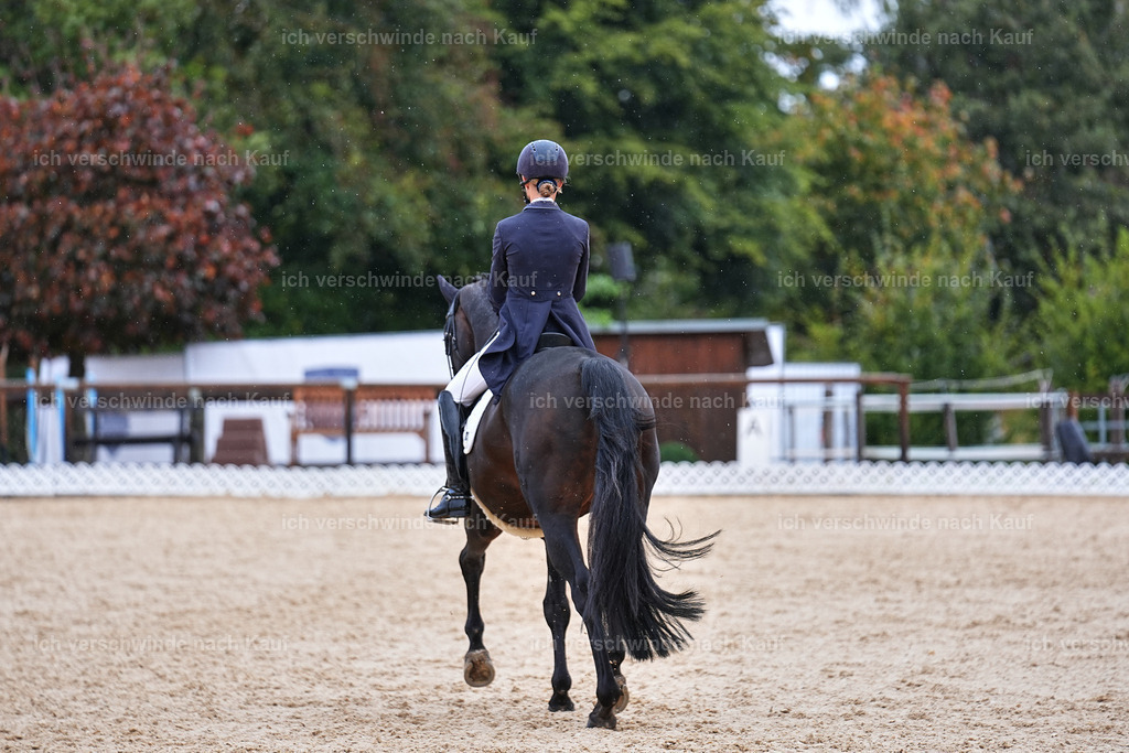07-123-DRESSUR  S___  -Marixx-5114 | working equitationturnier fotograf videograf stoibphotography marixx film working equitation deutschland reitsport turnierfotografie eventfotografie equestrian events