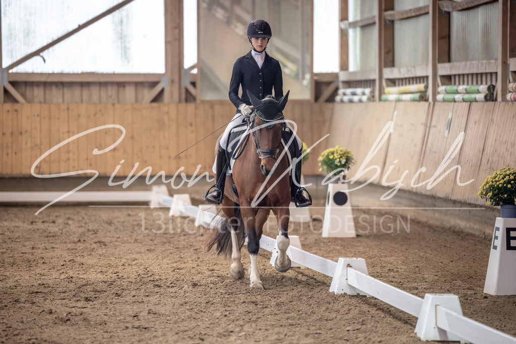 20251011-_3LI0402 | Tierfotografie Pferde, Hunde, Katzen, Haustiere.
Turnierfotografie Reitturniere, Reiten, Springreiten, Dressur in Hanau, dem Main-Kinzig-Kreis und dem Rhein-Main- Gebiet um Frankfurt