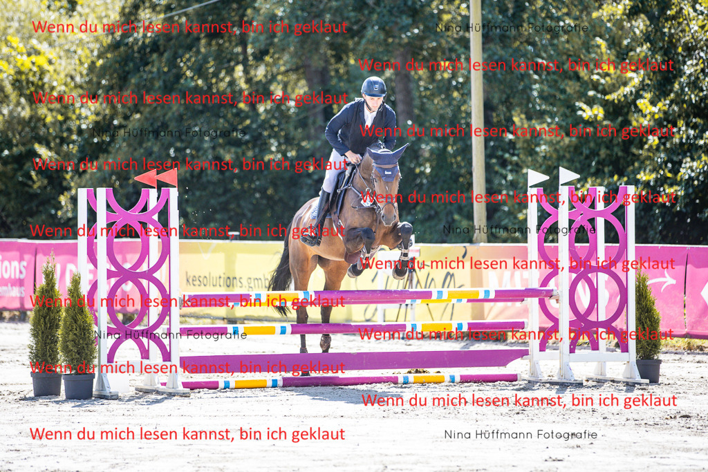 BK1A5029 | Turnierbilder Turnierfotos Nina Hüffmann Turnierfotografie Pferdefotografie Tierzeichnung Haustierzeichnung Pferdezeichnung Hundezeichnung Videograf  - Realisiert mit Pictrs.com