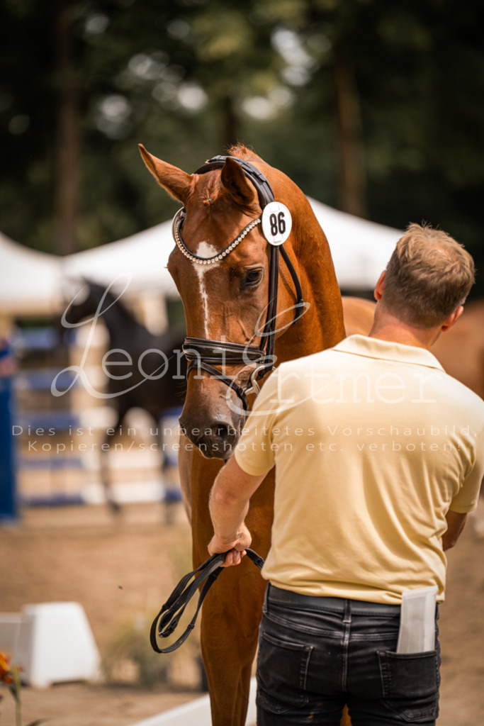 5.Fr00121 | Leoni Ertmer Photography - Realisiert mit Pictrs.com