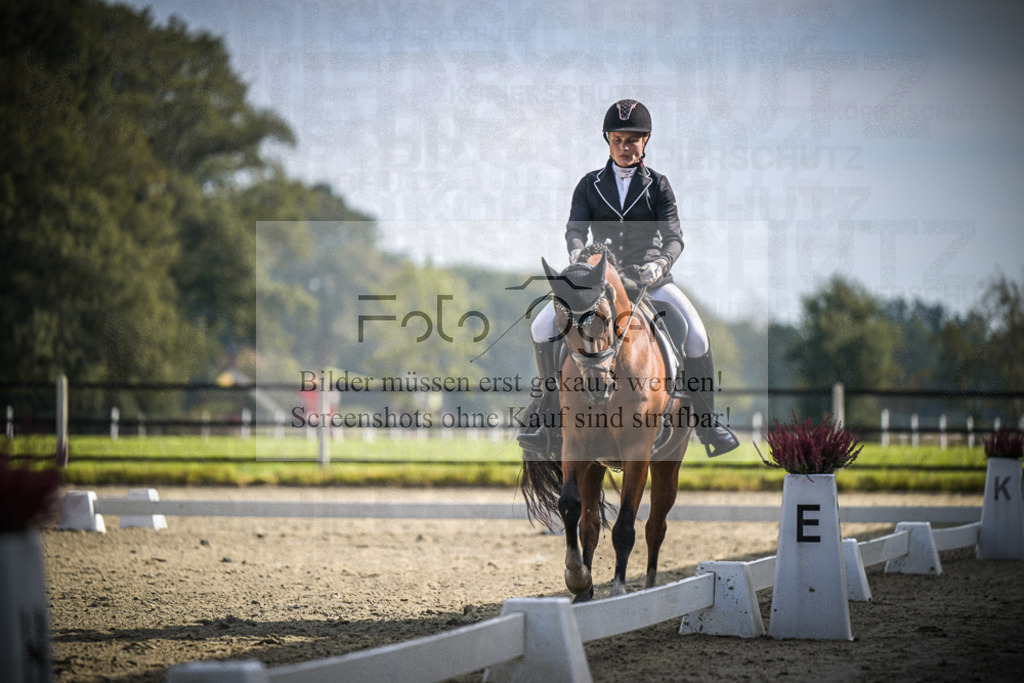 DOS_B748 | Entdecke hochwertige Reitturnierfotos von Foto Oger. Professionell, emotional und authentisch – jetzt Lieblingsmomente im Shop bestellen.Deutschlandweite Turnierfotografie. - Realisiert mit Pictrs.com