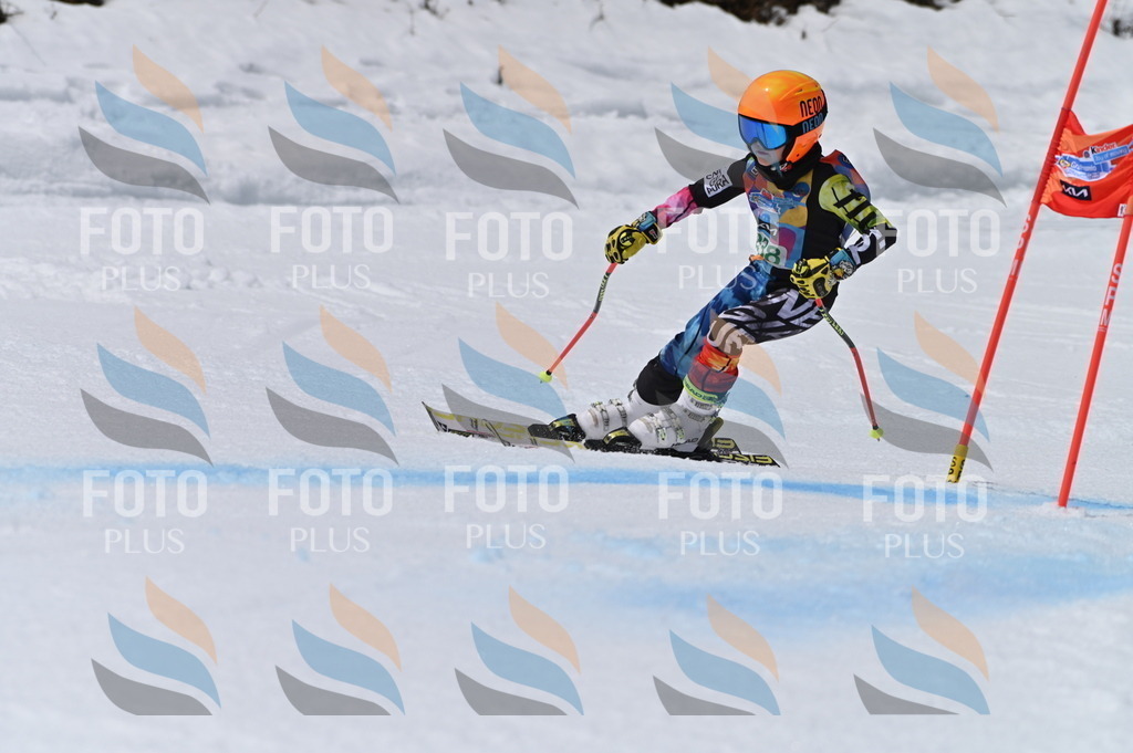 BGV_6704 | holidayphoto