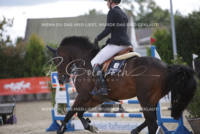 1J2A4759Hannes Ahlmann_ Colly 15_ Kn256_ Havekost | Foto- und Videografie für alles rund ums Pferd. Hochwertige Bilder und Videos vom Spring- und Dressurreiten, Voltigieren & mehr. Jetzt aktuelle Veranstaltungen und Preise im Shop ansehen. - Realisiert mit Pictrs.com