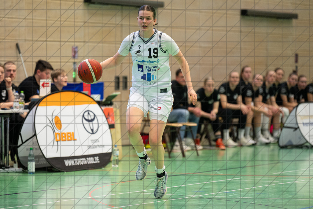 2. DBBL Nord 24/25 | 09.03.2025 | BBC OS vs. ChemCats Chemnitz | 2. DBBL Nord 24/25 | 09.03.2025 | BBC OS vs. ChemCats Chemnitz - - - - - CREDIT, www.bullenfotos.de, Martin König, Hörner Weg 40, D-49078 Osnabrück, +4917663732967, Nutzung und Weitergabe nur zu den vereinbarten Zwecken. Presseanfragen an Urheber. Alle Rechte beim Urheber. - - - - - - Realisiert mit Pictrs.com