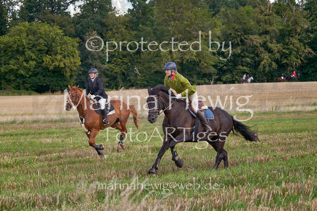 08-23 Bredeneek Jagd_MCH8754_Marina Hewig | Fotografie, FotoArt, PferdesportArt, Pferdesportfotografie, Landschaftsfotografie, Reisefotografie, Reise, Pferde - Realisiert mit Pictrs.com