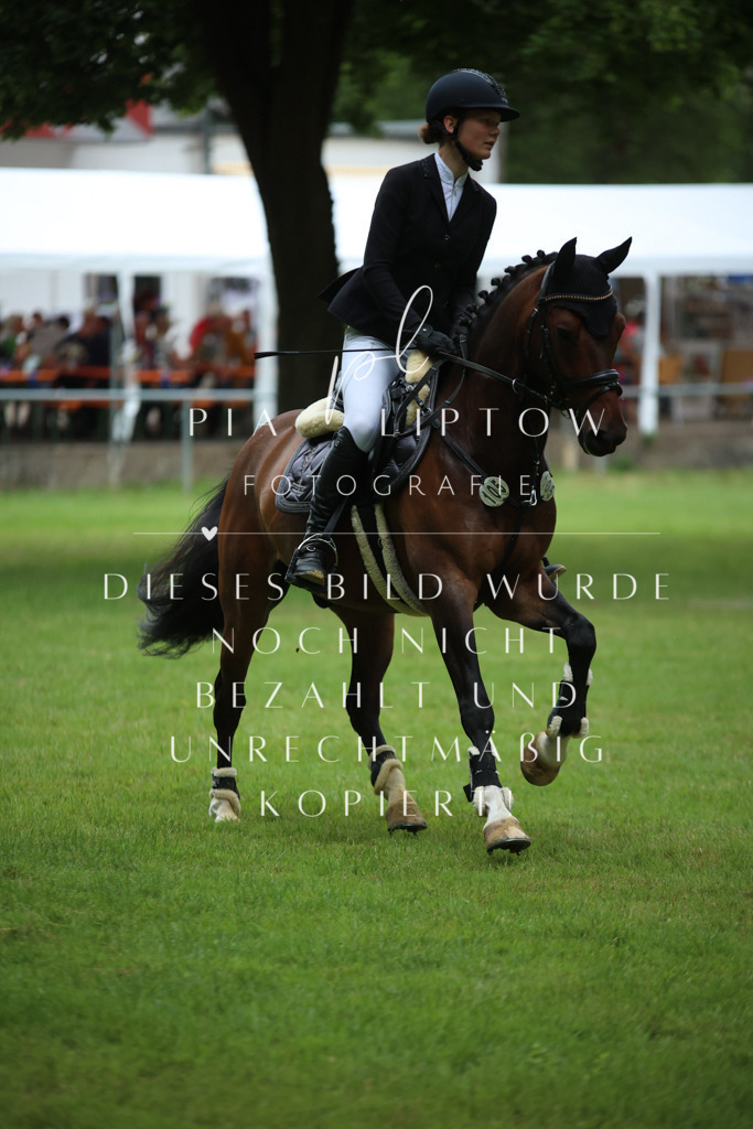 IMGM3836 | pl-fotografie