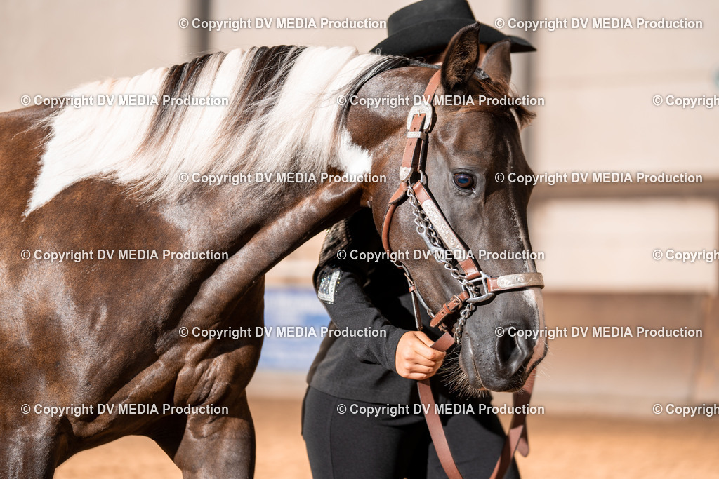 LM Heiligenwald Tag 1-18 | dv-media-shop - Realisiert mit Pictrs.com