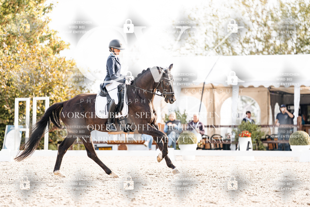 CK901065 | Turnierfotografie Pferdefotografie Trier Rheinland-Pfalz Pferdesport Reitsport Tierfotografie Sportfotografie Pferdevideo Pferdevideografie Equestrianvideography equestrianphotography  - Realisiert mit Pictrs.com