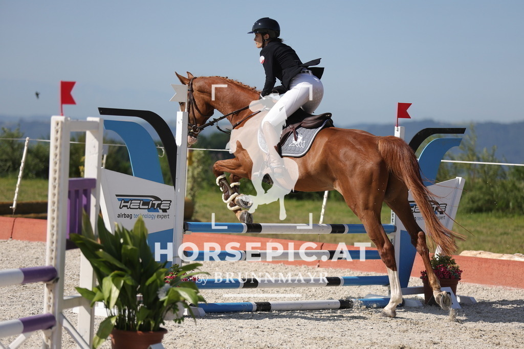 0P6A7587 | Willkommen bei Brunnmayr - Design & Fotografie – Ihrem Spezialisten für Reitturniere und Pferdeveranstaltungen in Oberösterreich, Salzburg und Bayern! Seit über 17 Jahren sind wir leidenschaftlich dabei.