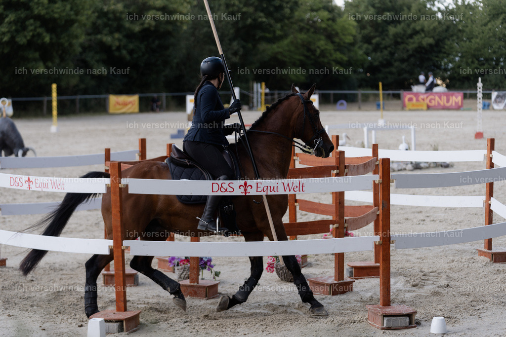 WS_SP_24_SinaFilmArt_IN08902 | working equitationturnier fotograf videograf stoibphotography marixx film working equitation deutschland reitsport turnierfotografie eventfotografie equestrian events