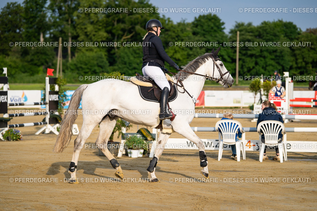 DSC01969 | Pferdegrafie