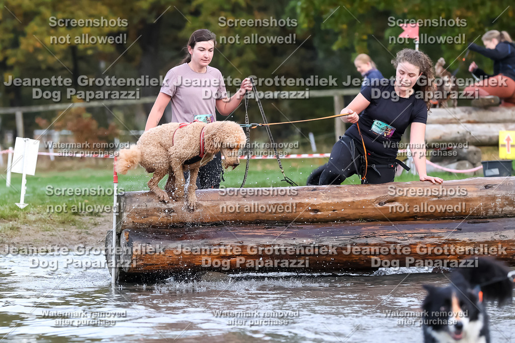 Dog Paparazzi - Strongdog 10-25-6468 | Dog Paparazzi Jeanette Grottendiek Fotografie & Videografie