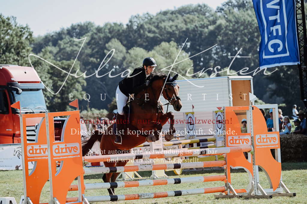 DSC_5790 | Pferde- und Turnierfotografie in Westsachsen. Pferdeportraits, Auftragszeichnungen und intuitive Kunst.