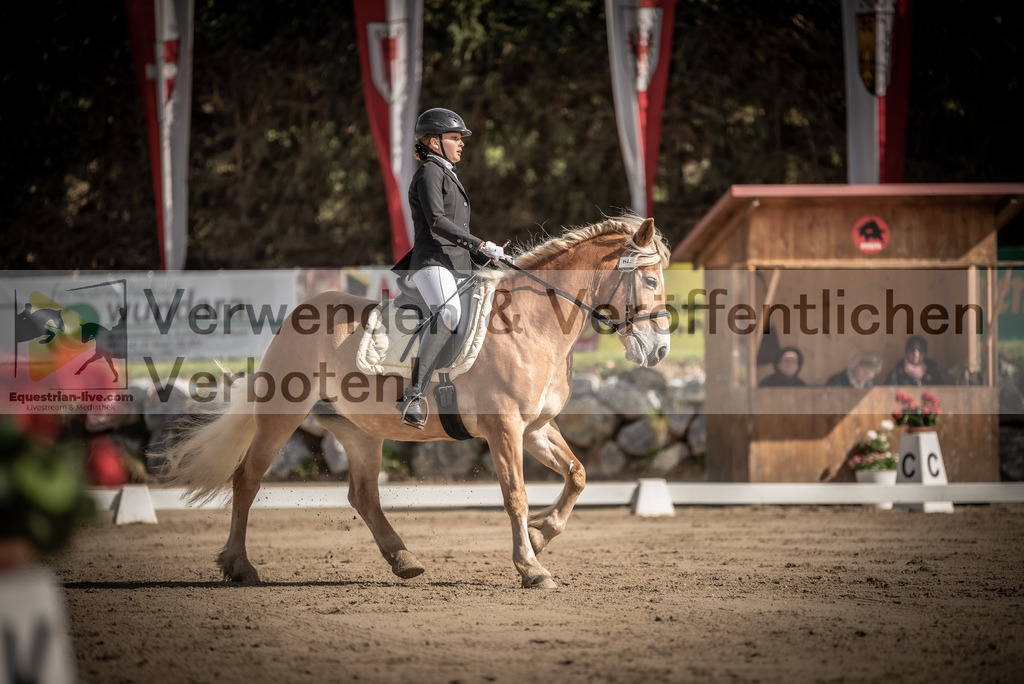 DSC_8751 | equestrian-live-com