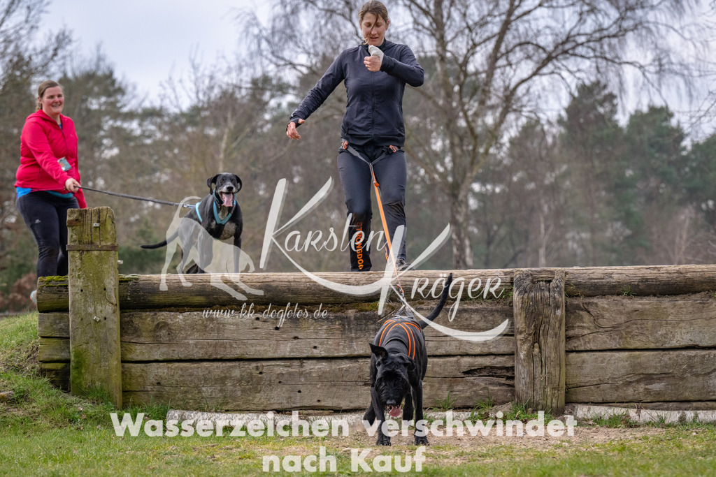 _ZZ92453 | kk-dogfotos