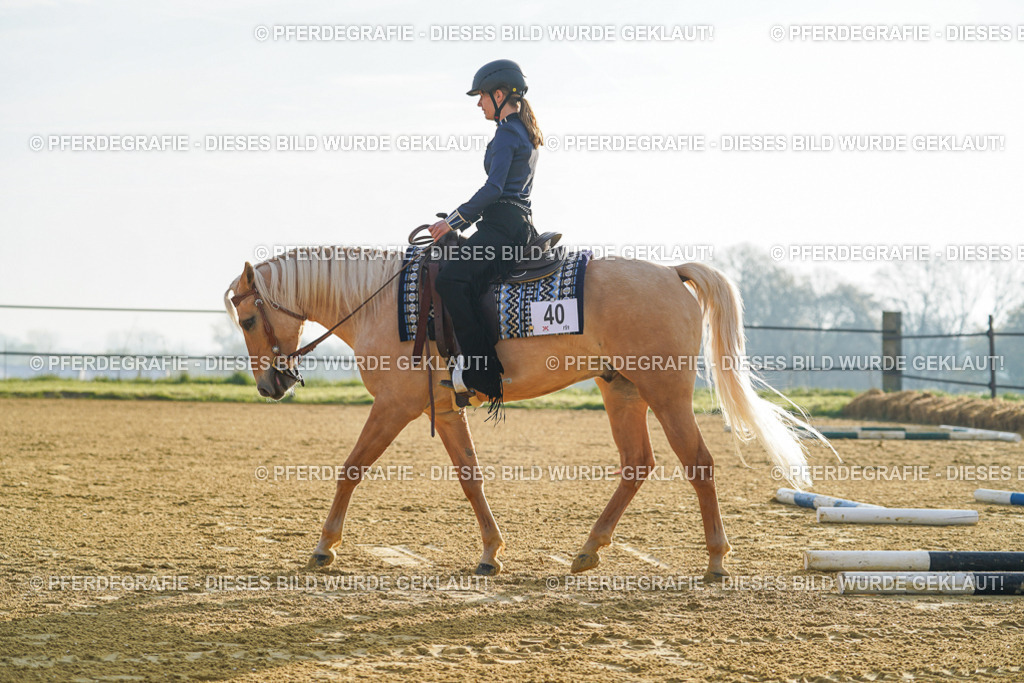 DSC09956 | Pferdegrafie