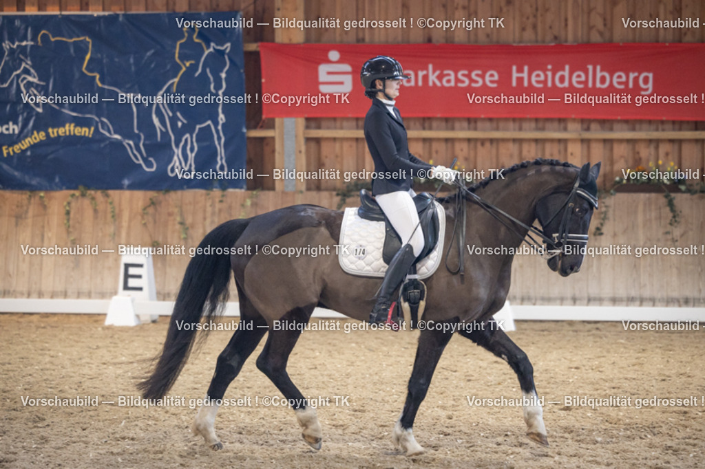 _D5A1790 | Emotionale Pferde- & People-Fotografie rund um Heidelberg, Leimen & Umgebung. Natürliche Fotos von Pferd, Mensch & Familie. Jetzt Termin sichern!