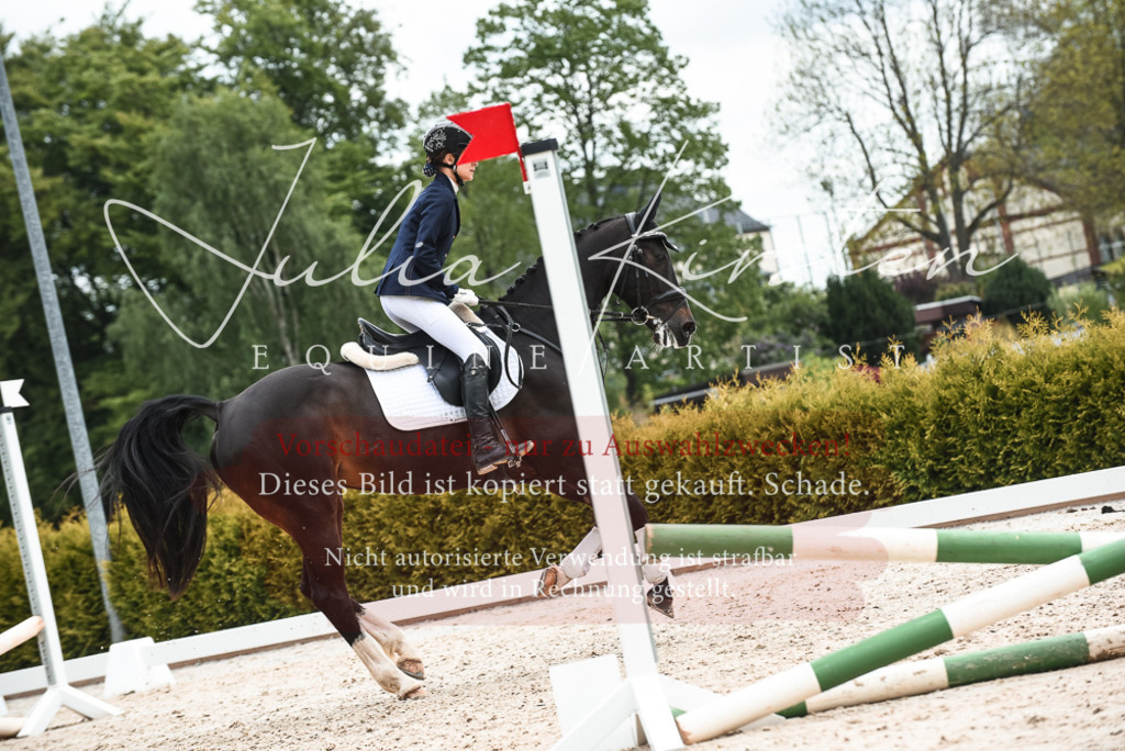 20230518_JK-Röhrsdorf-10-475 | Pferde- und Turnierfotografie in Westsachsen. Pferdeportraits, Auftragszeichnungen und intuitive Kunst.