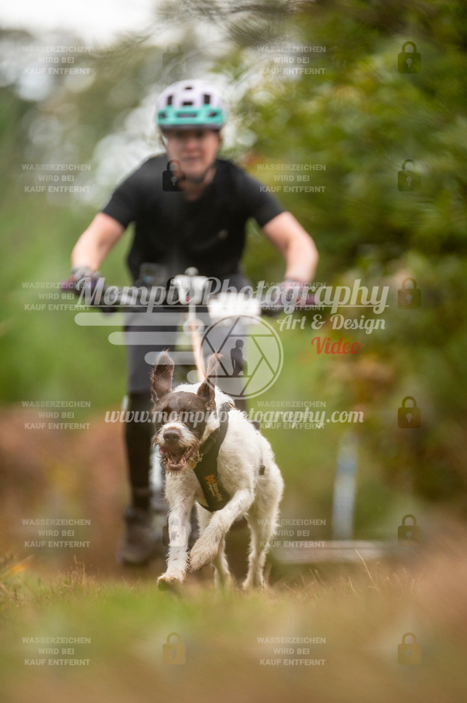 TSB_2023_E5_Bike-59 | PayLife