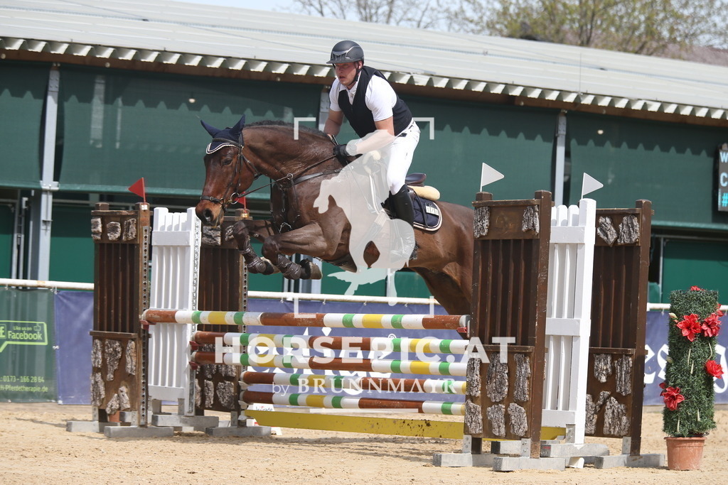 AS8V6591 | Willkommen bei Brunnmayr - Design & Fotografie – Ihrem Spezialisten für Reitturniere und Pferdeveranstaltungen in Oberösterreich, Salzburg und Bayern! Seit über 17 Jahren sind wir leidenschaftlich dabei.