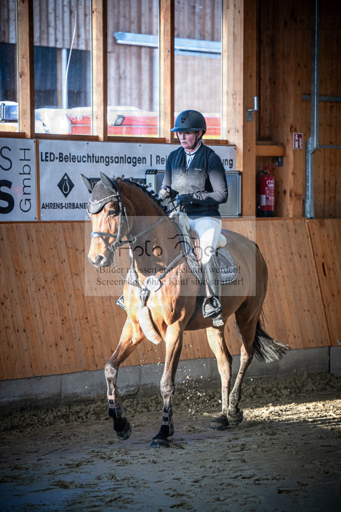 DOS_0178 | Entdecke hochwertige Reitturnierfotos von Foto Oger. Professionell, emotional und authentisch – jetzt Lieblingsmomente im Shop bestellen.Deutschlandweite Turnierfotografie. - Realisiert mit Pictrs.com