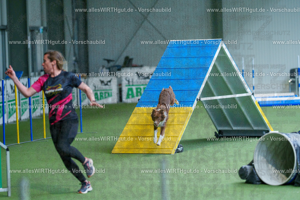 @allesWIRTHgut_Tierfotografie - www.allesWIRTHgut.de - 2604261527-7R505611 | Professionelle Tierfotografie in Mönchengladbach von Daniel Wirth (allesWIRTHgut). Liebevolle & natürliche Bilder von Hunden & Katzen für unvergessliche Erinnerungen.