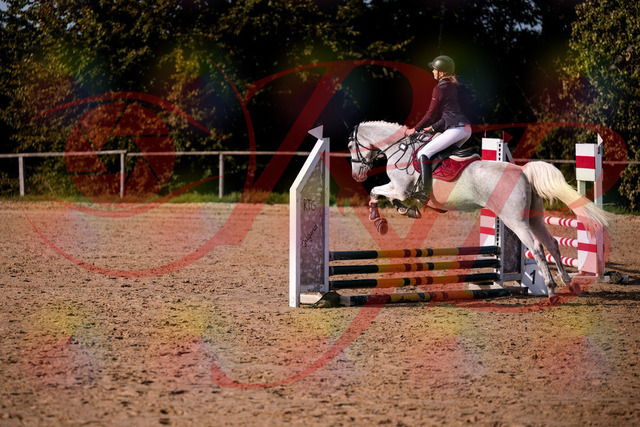 2026_10_03_Siefer-Hof_155107_Z81_69771043 | Professionelle Reitsport-, Turnier- und Eventfotografie von Robert Broda. Galerien mit ausgewählten und bearbeiteten Bildern direkt online ansehen und bestellen.