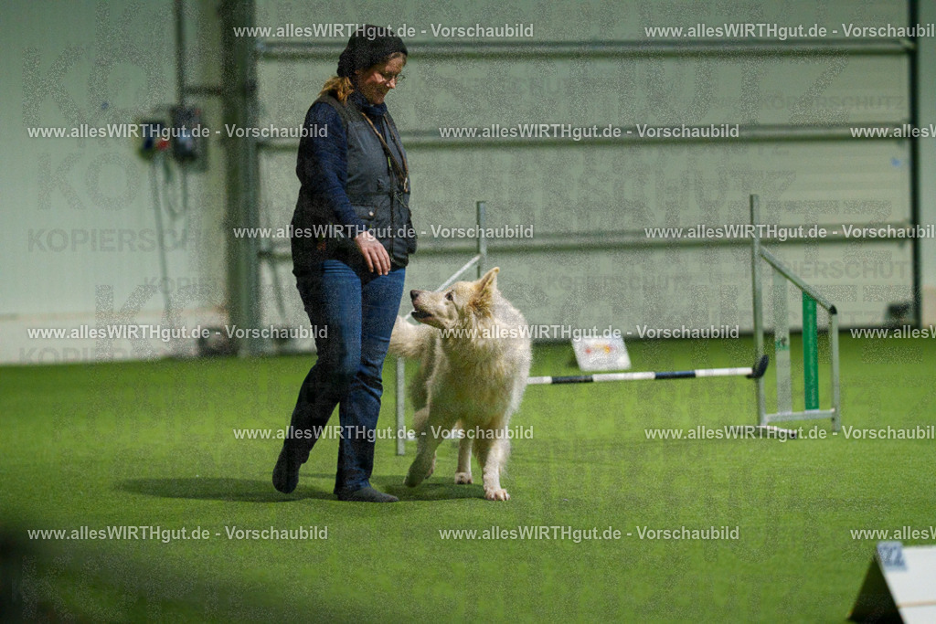 7R504233 | Professionelle Tierfotografie in Mönchengladbach von Daniel Wirth (allesWIRTHgut). Liebevolle & natürliche Bilder von Hunden & Katzen für unvergessliche Erinnerungen.