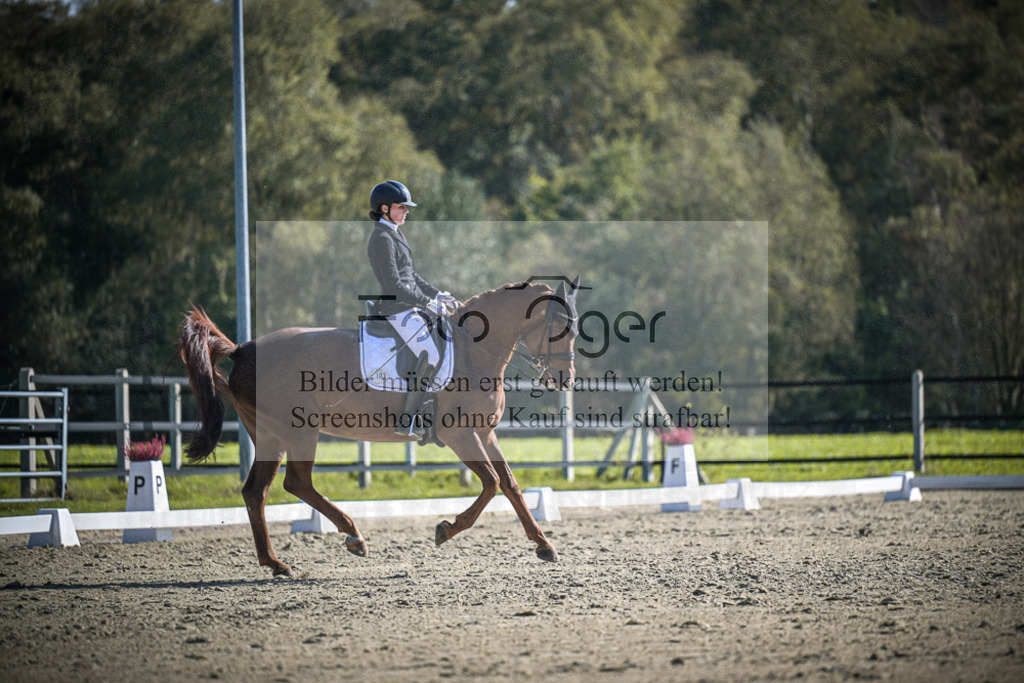 DOS_2995 | Entdecke hochwertige Reitturnierfotos von Foto Oger. Professionell, emotional und authentisch – jetzt Lieblingsmomente im Shop bestellen.Deutschlandweite Turnierfotografie. - Realisiert mit Pictrs.com