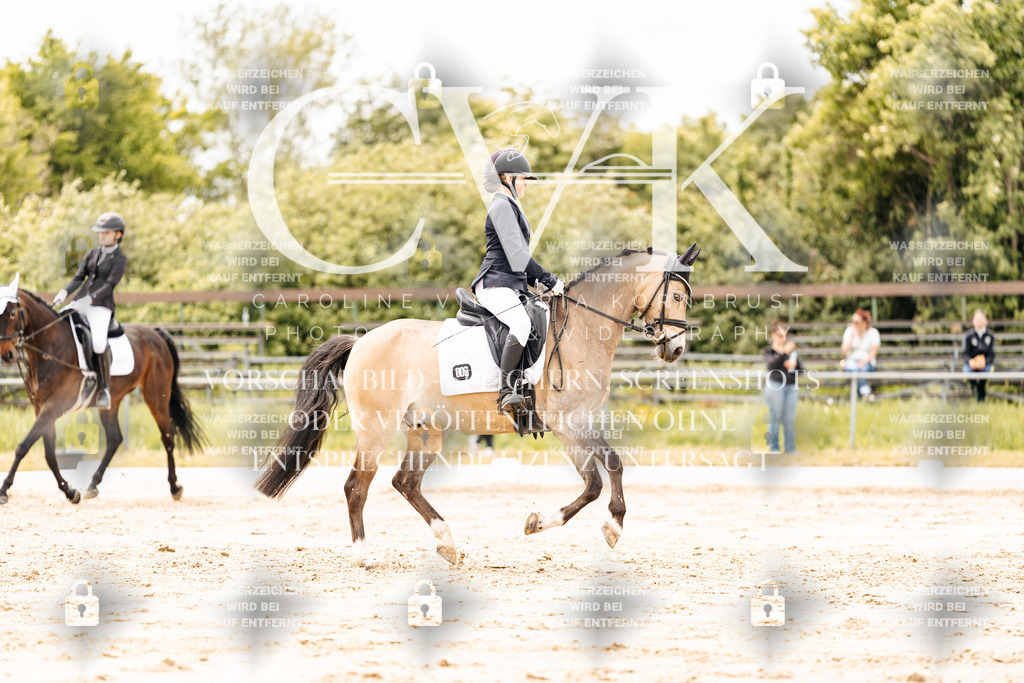 CK902851 | Turnierfotografie Pferdefotografie Trier Rheinland-Pfalz Pferdesport Reitsport Tierfotografie Sportfotografie Pferdevideo Pferdevideografie Equestrianvideography equestrianphotography  - Realisiert mit Pictrs.com