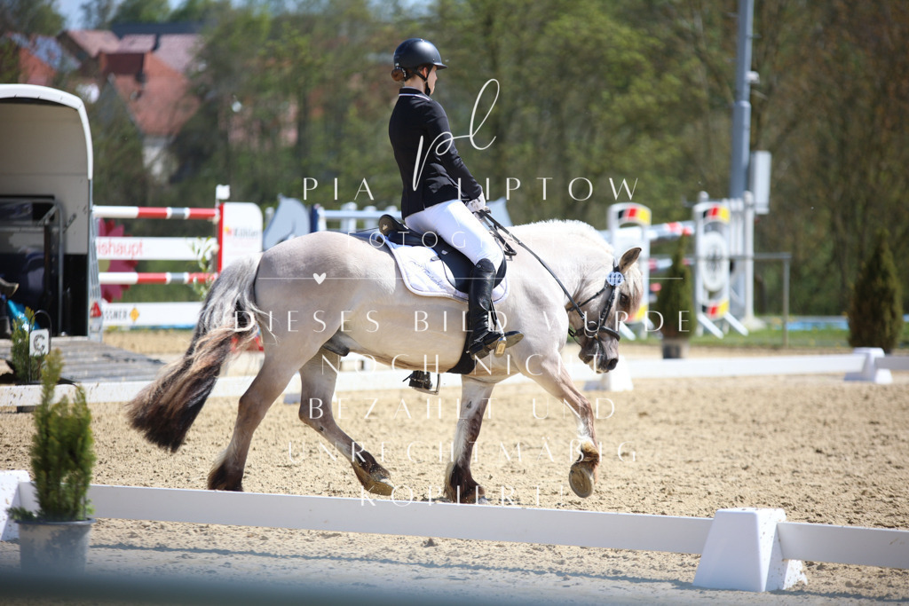 IMGT1969 | pl-fotografie