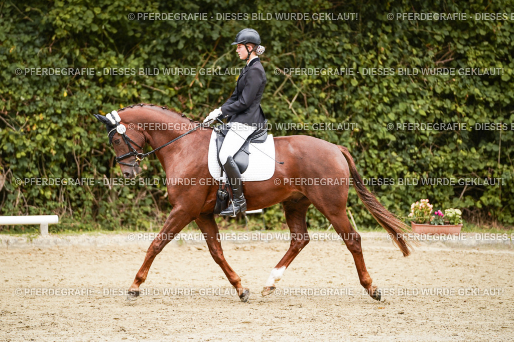 DSC00351 | Pferdegrafie