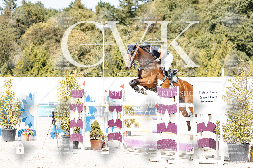 CK904839 | Turnierfotografie Pferdefotografie Trier Rheinland-Pfalz Pferdesport Reitsport Tierfotografie Sportfotografie Pferdevideo Pferdevideografie Equestrianvideography equestrianphotography  - Realisiert mit Pictrs.com