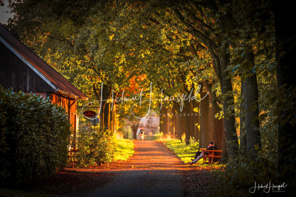 DSC03663 | Landschaftsfotografie, Naturfotografie - Realisiert mit Pictrs.com