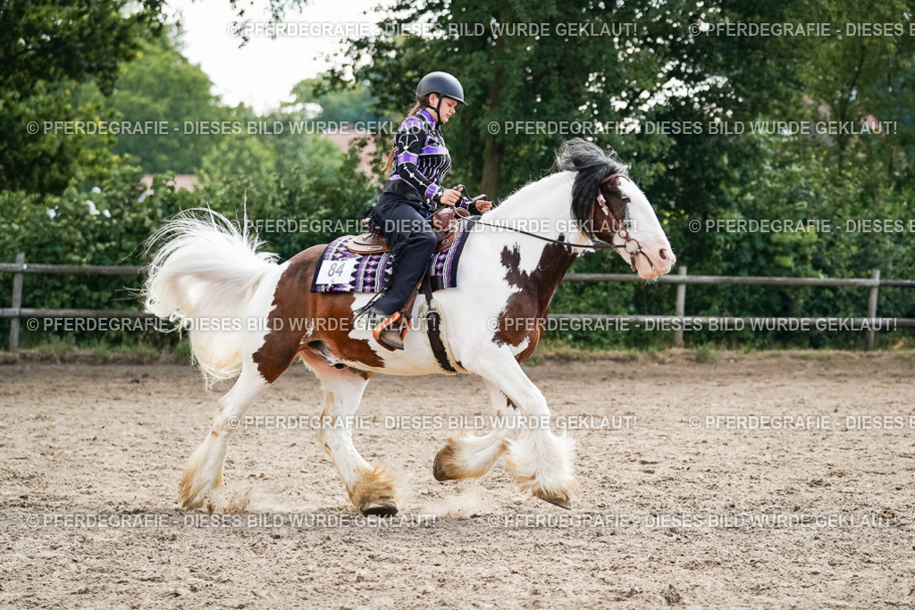 DSC05038 | Pferdegrafie