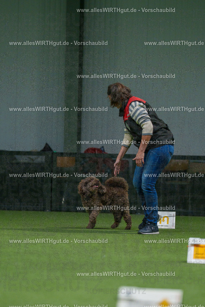 7R508348 | Professionelle Tierfotografie in Mönchengladbach von Daniel Wirth (allesWIRTHgut). Liebevolle & natürliche Bilder von Hunden & Katzen für unvergessliche Erinnerungen.