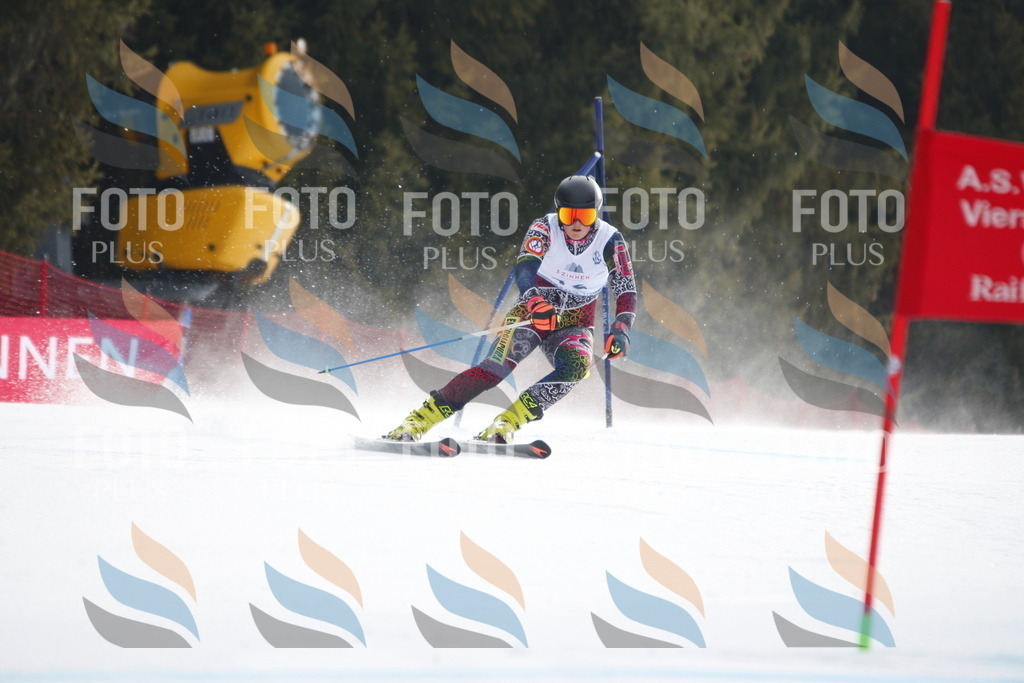 D4815 | holidayphoto