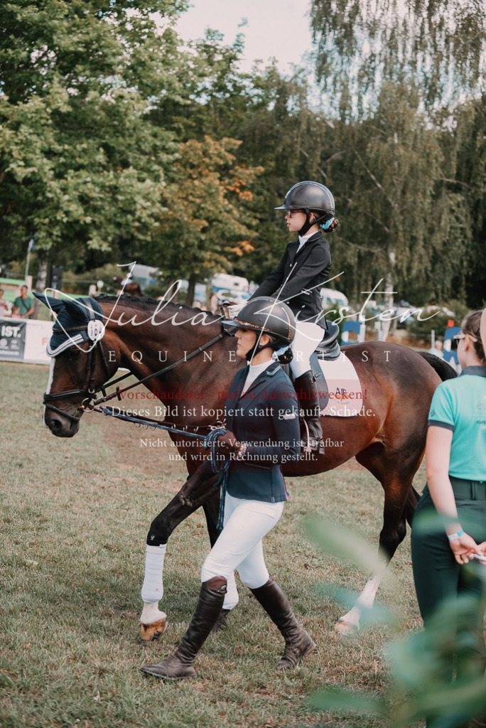 DSC_6056 | Pferde- und Turnierfotografie in Westsachsen. Pferdeportraits, Auftragszeichnungen und intuitive Kunst.