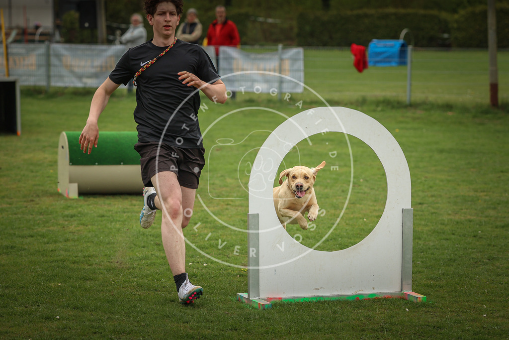 Pfotenfotografie_0L8A1424 | Hundefotografie, Tierfotograf, Pfotenfotografie, Fotoshooting Hund, Hunde Portrait, Hundesport, Hundeportraits, Heideshooting, Hunde, Sportfotograf, Hundefotograf, Turnierhundsport, THS,  - Realisiert mit Pictrs.com