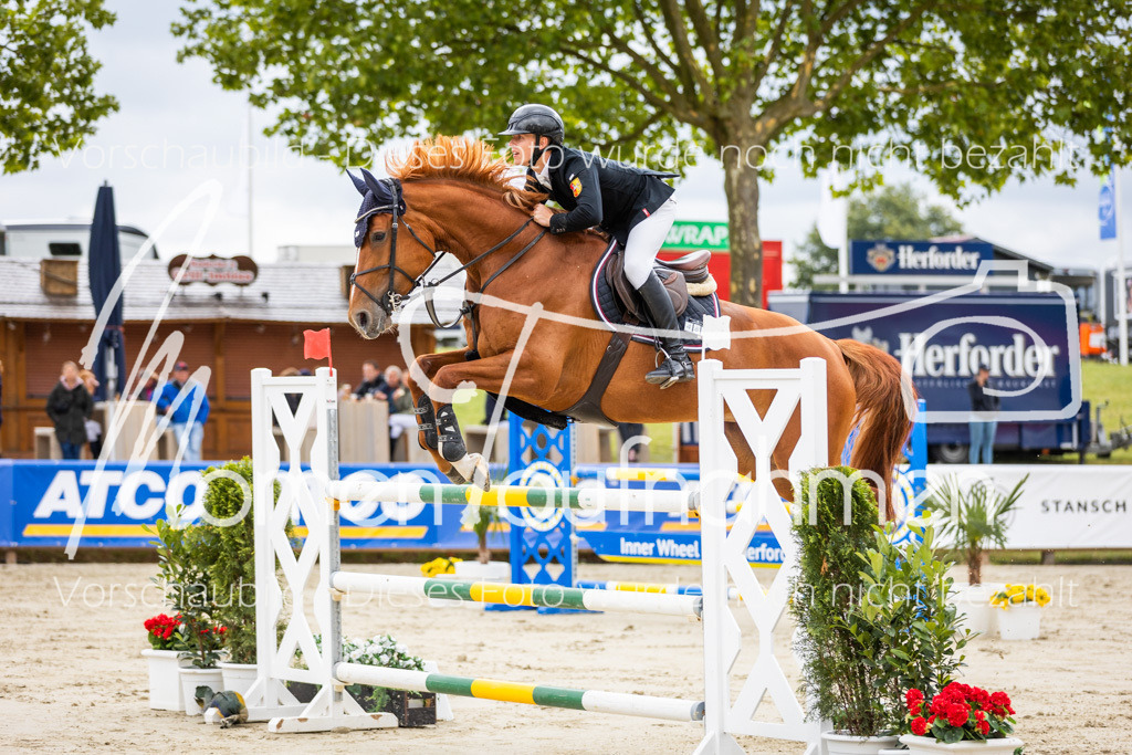 BHO-2PhSpr-M-5-2271 | MomenTaufnahmen Pferdesportfotos