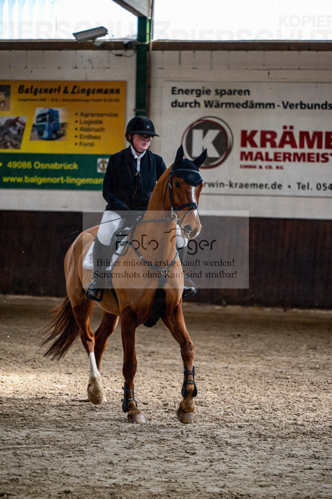 20240308-DOS_3769 | Entdecke hochwertige Reitturnierfotos von Foto Oger. Professionell, emotional und authentisch – jetzt Lieblingsmomente im Shop bestellen.Deutschlandweite Turnierfotografie. - Realisiert mit Pictrs.com