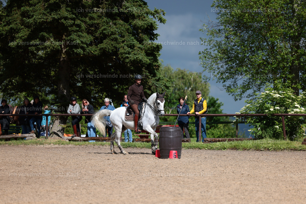 KlasseL_Stoibphotography_CAM23418.JPG | working equitationturnier fotograf videograf stoibphotography marixx film working equitation deutschland reitsport turnierfotografie eventfotografie equestrian events