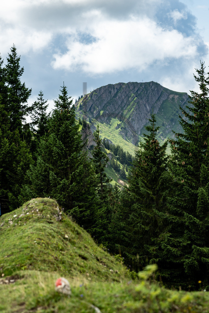 35. Gebirgsmarathon | 35. Gebirgsmarathon 2024 am 03.08.2024 in Immenstadt. Einer der anspruchsvollsten​und ältesten Bergläufe​Deutschlands im Naturpark Nagelfluhkette!(Foto: Dominik Berchtold/www.dberchtold.com)Instagram: @d_berchtold_foto 