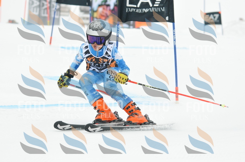 DSC_7984 | holidayphoto