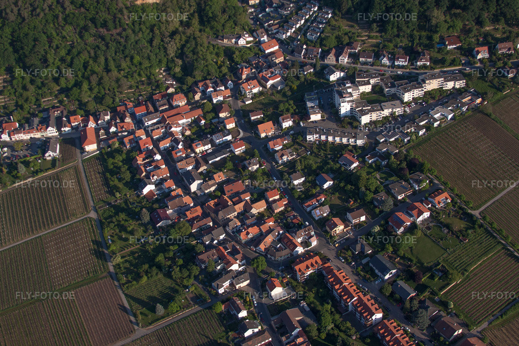 Luftbild: Mandelring im Ortsteil Haardt in Neustadt im Bundesland Rheinland-Pfalz in Deutschland.Foto: IMG_64668.jpg vom 04.05.2014 durch Werner Riehm/FLY-FOTO.deAuflösung des Originals: 4752 x 3168 px