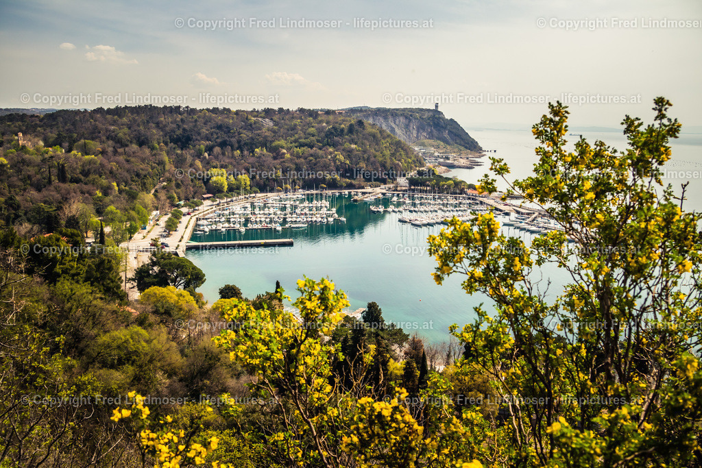 Triest_Bled 2019-5961 | Fotos und Fotoprodukte - Realisiert mit Pictrs.com