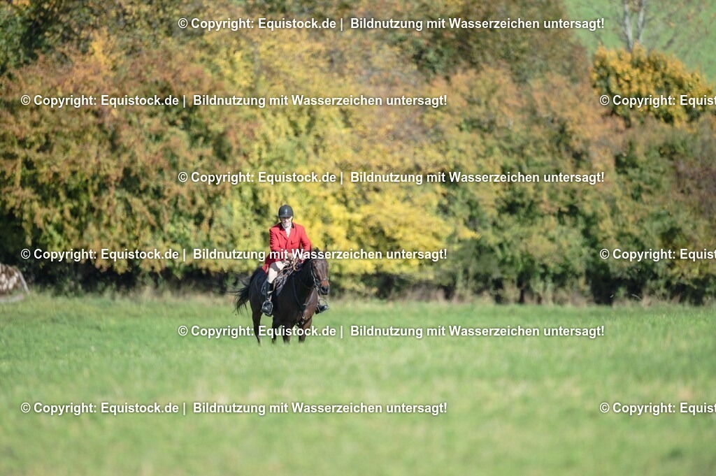 20251011_Jagd-Marbach_0400 | Foto: Thomas Hartig