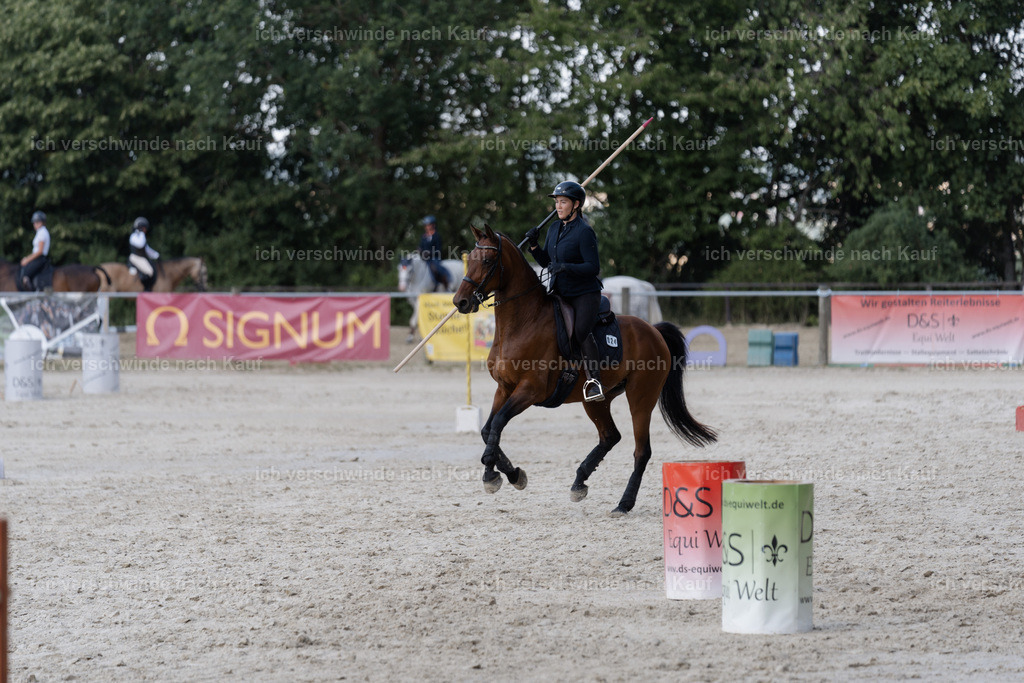 WS_SP_24_SinaFilmArt_IN08893 | working equitationturnier fotograf videograf stoibphotography marixx film working equitation deutschland reitsport turnierfotografie eventfotografie equestrian events