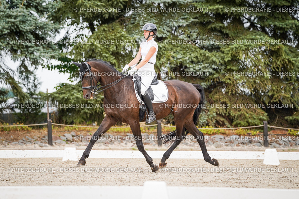 DSC06647 | Pferdegrafie